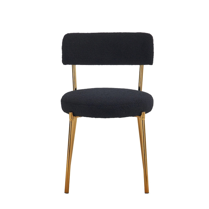 Ensemble de 2 chaises de salle à manger du milieu du siècle moderne
