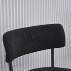Ensemble de 2 chaises de salle à manger du milieu du siècle moderne