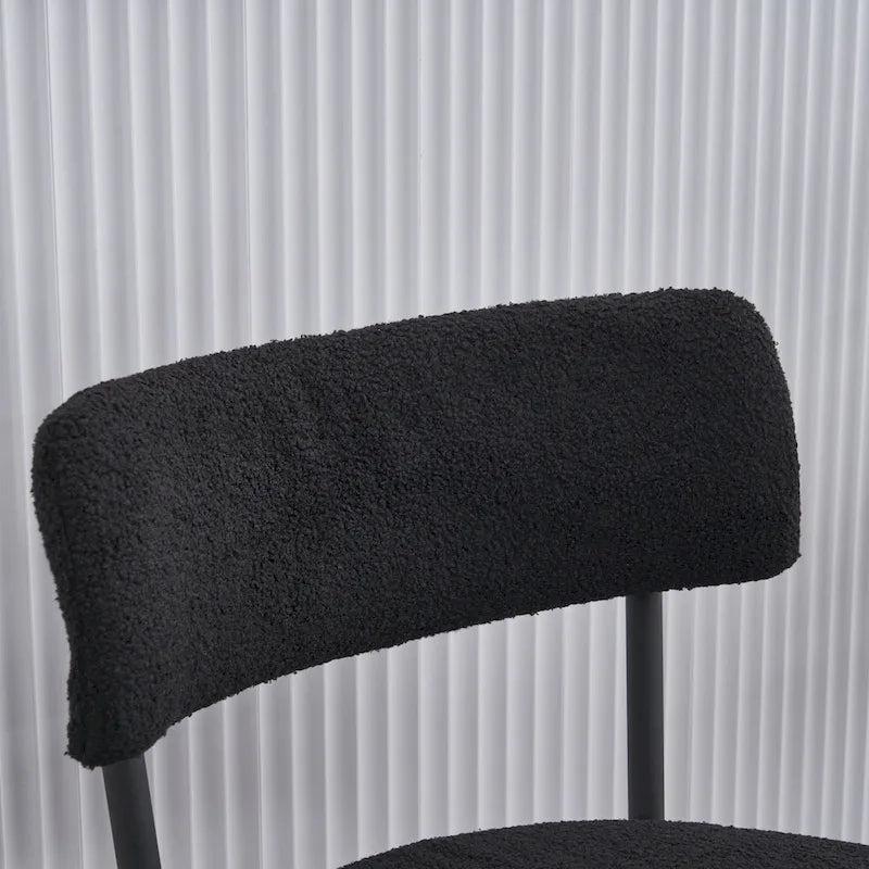 Ensemble de 2 chaises de salle à manger du milieu du siècle moderne