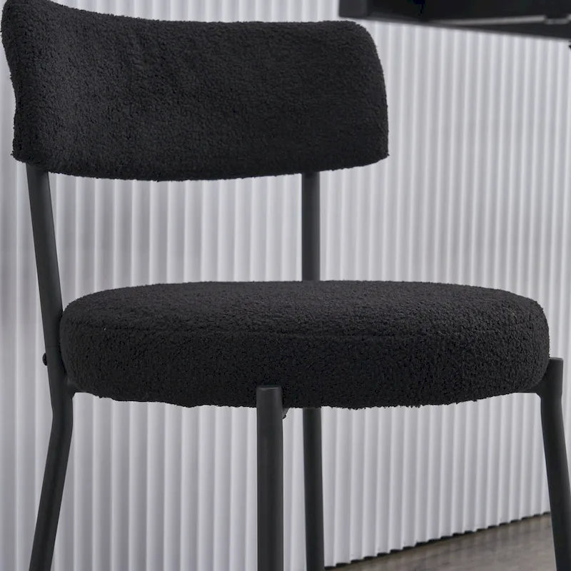 Ensemble de 2 chaises de salle à manger du milieu du siècle moderne