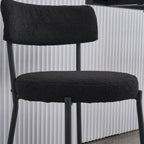 Ensemble de 2 chaises de salle à manger du milieu du siècle moderne