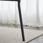 Ensemble de 2 chaises de salle à manger du milieu du siècle moderne