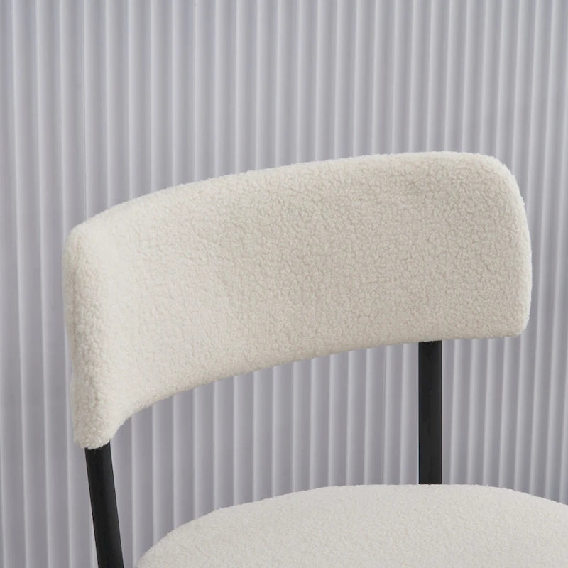 Ensemble de 2 chaises de salle à manger du milieu du siècle moderne