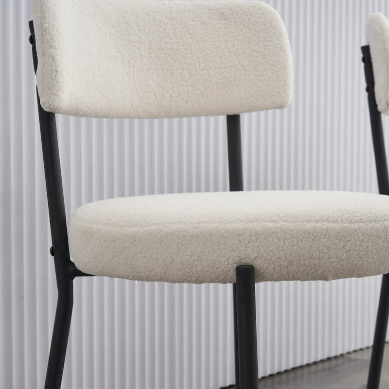 Ensemble de 2 chaises de salle à manger du milieu du siècle moderne