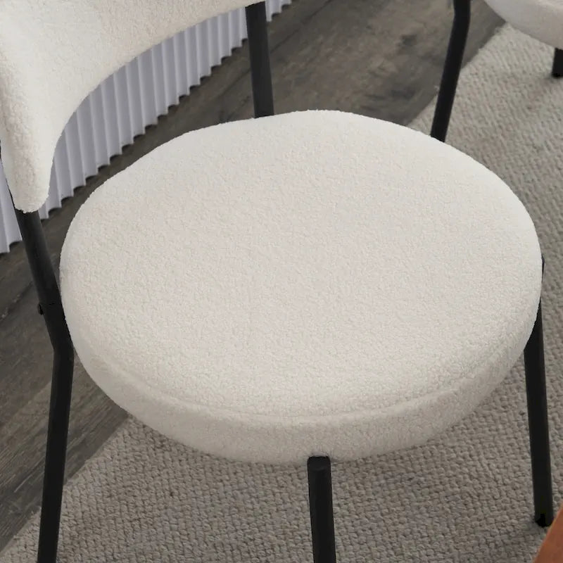 Ensemble de 2 chaises de salle à manger du milieu du siècle moderne