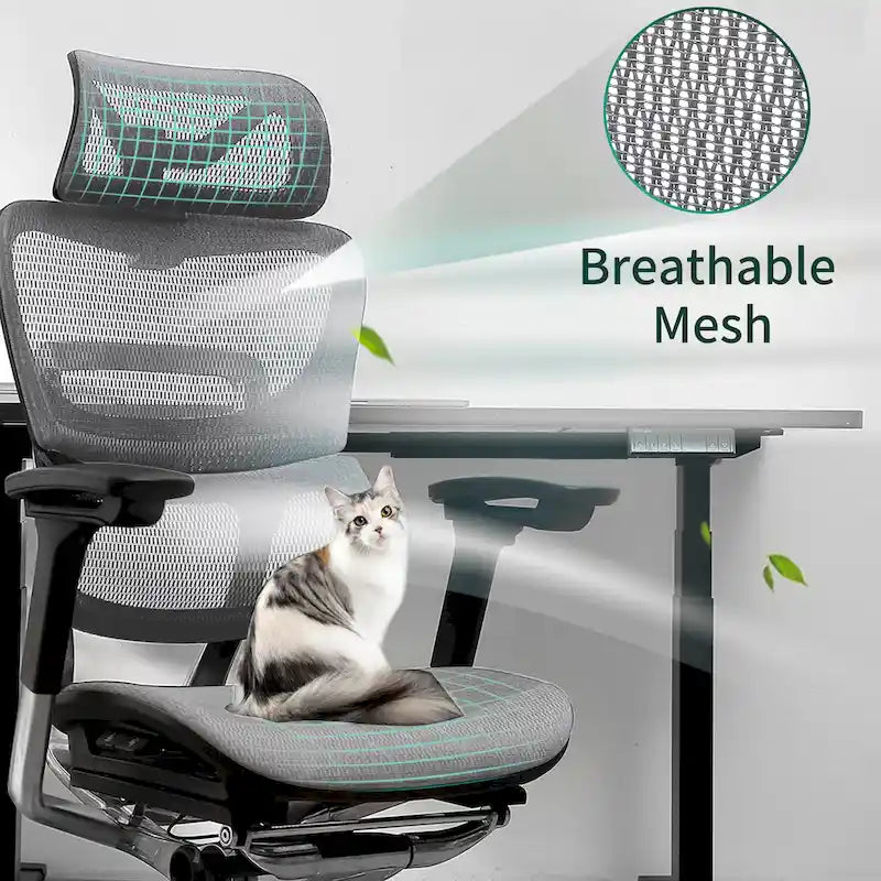 Chaise de bureau à dossier haut OdinLake, chaise d'ordinateur de bureau à domicile sans repose-pieds
