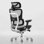 Chaise de bureau à dossier haut OdinLake, chaise d'ordinateur de bureau à domicile sans repose-pieds