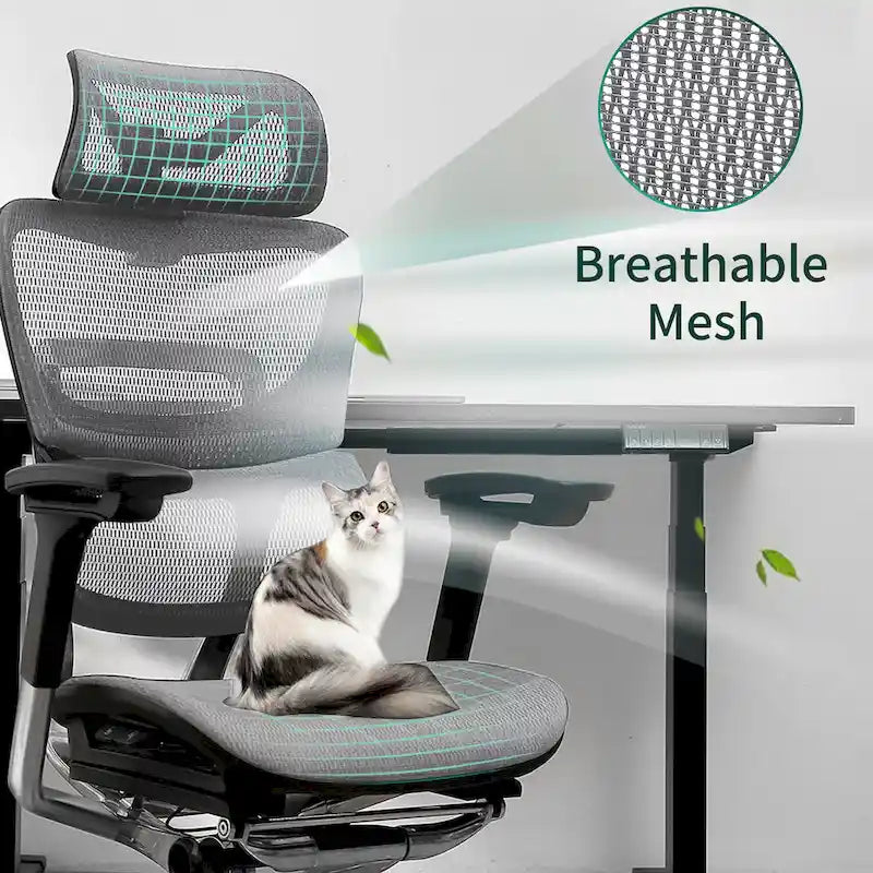 Chaise de bureau à dossier haut OdinLake, chaise d'ordinateur de bureau à domicile sans repose-pieds