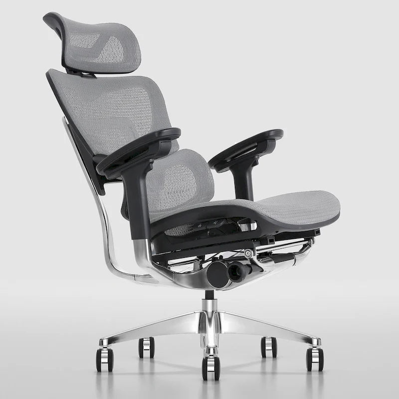 Chaise de bureau à dossier haut OdinLake, chaise d'ordinateur de bureau à domicile sans repose-pieds