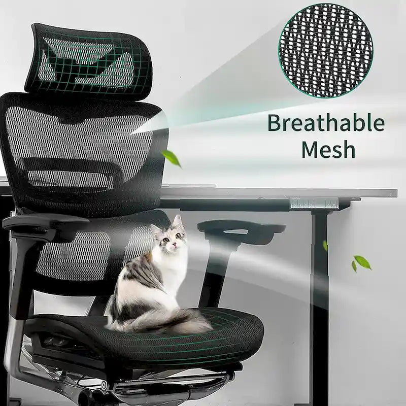 Chaise de bureau à dossier haut OdinLake, chaise d'ordinateur de bureau à domicile sans repose-pieds
